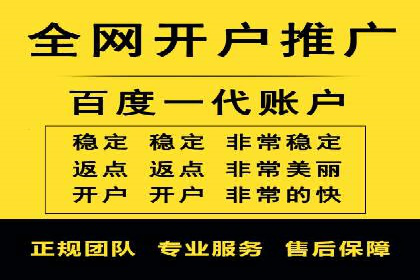 行业标杆：SEM托管公司案例解析